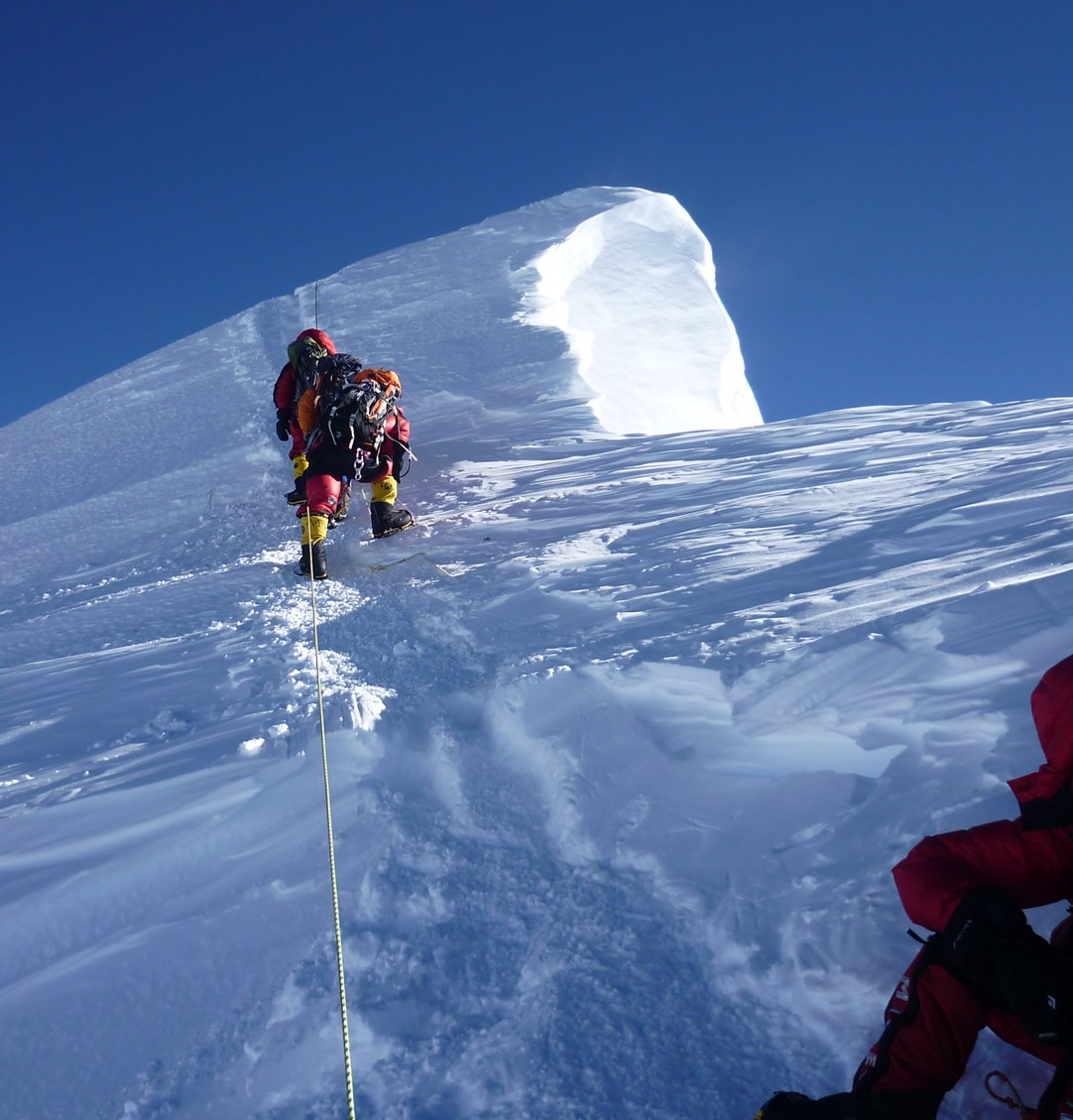Climbing Everest  - HBR's Climbing Everest Simulation , then your Sounding Board
